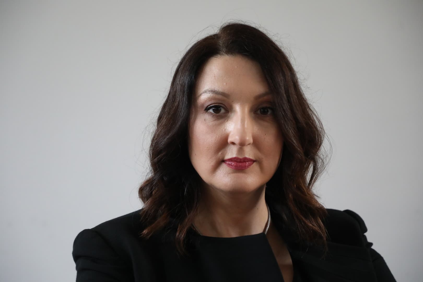 Džananović: Borellova tvrdnja da EU ne može ništa Izraelu je netačna! - slika 1