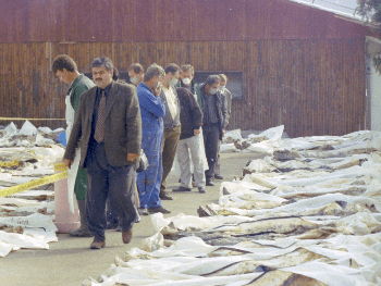 8.april - dan kada su započela ubistva Bošnjaka u Zvorniku