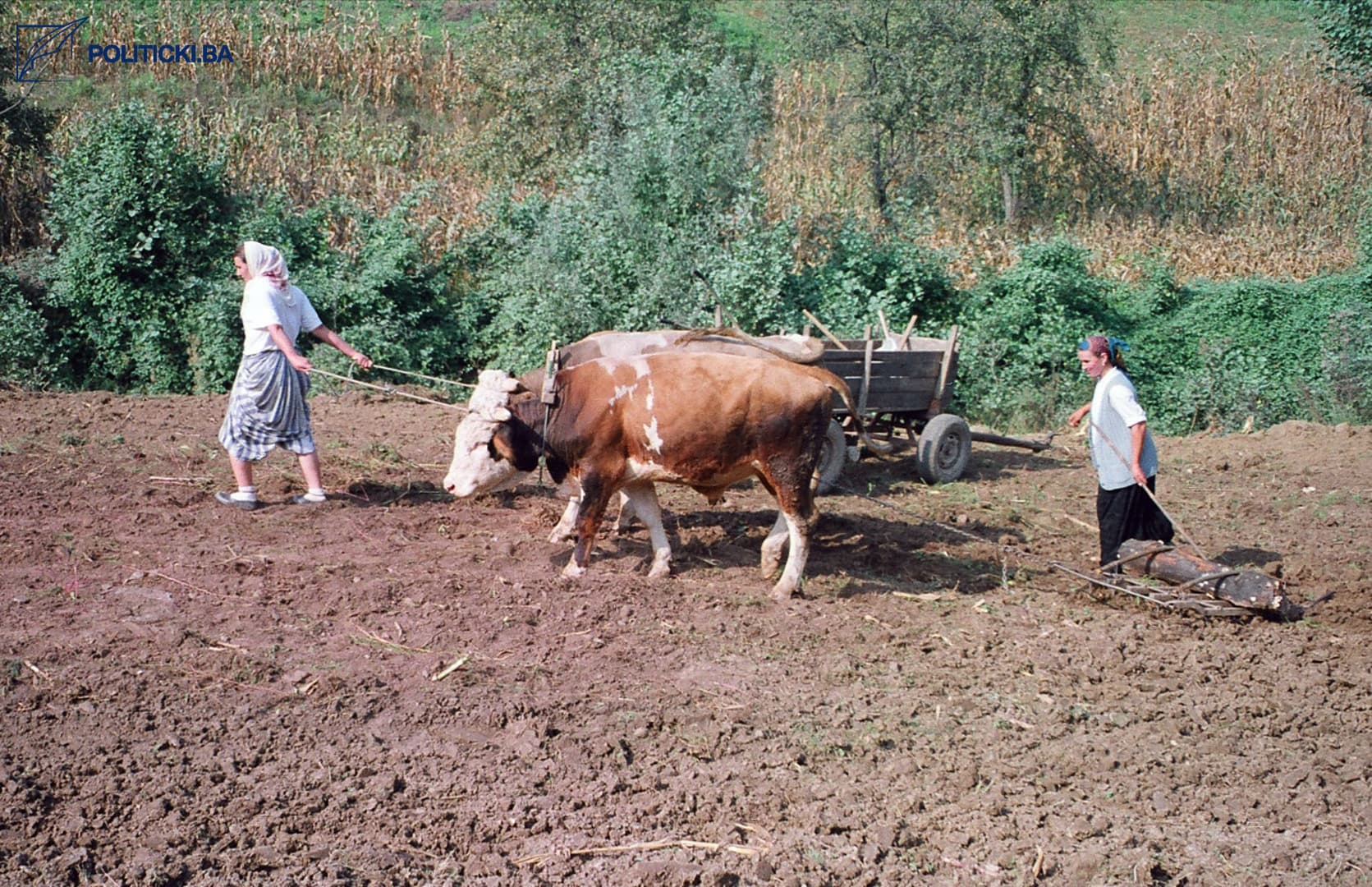 Žene heroji - nikad ispričana svjedočanstva snage - slika 2