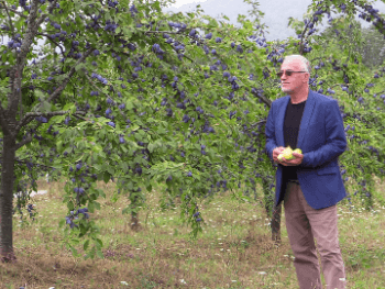 Alija Hasanović iz Maćeha: Kad čuvaš babovinu, čuvaš i domovinu