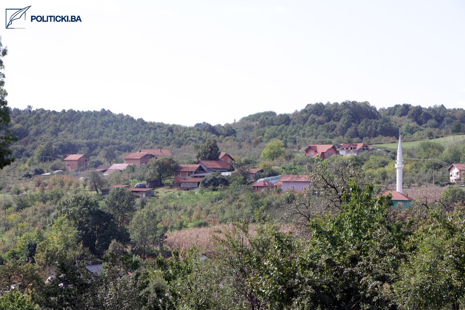 Kome smeta ljiljan u Gajevima na području Koraja - slika 6