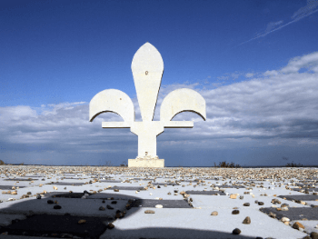 Kome smeta ljiljan u Gajevima na području Koraja