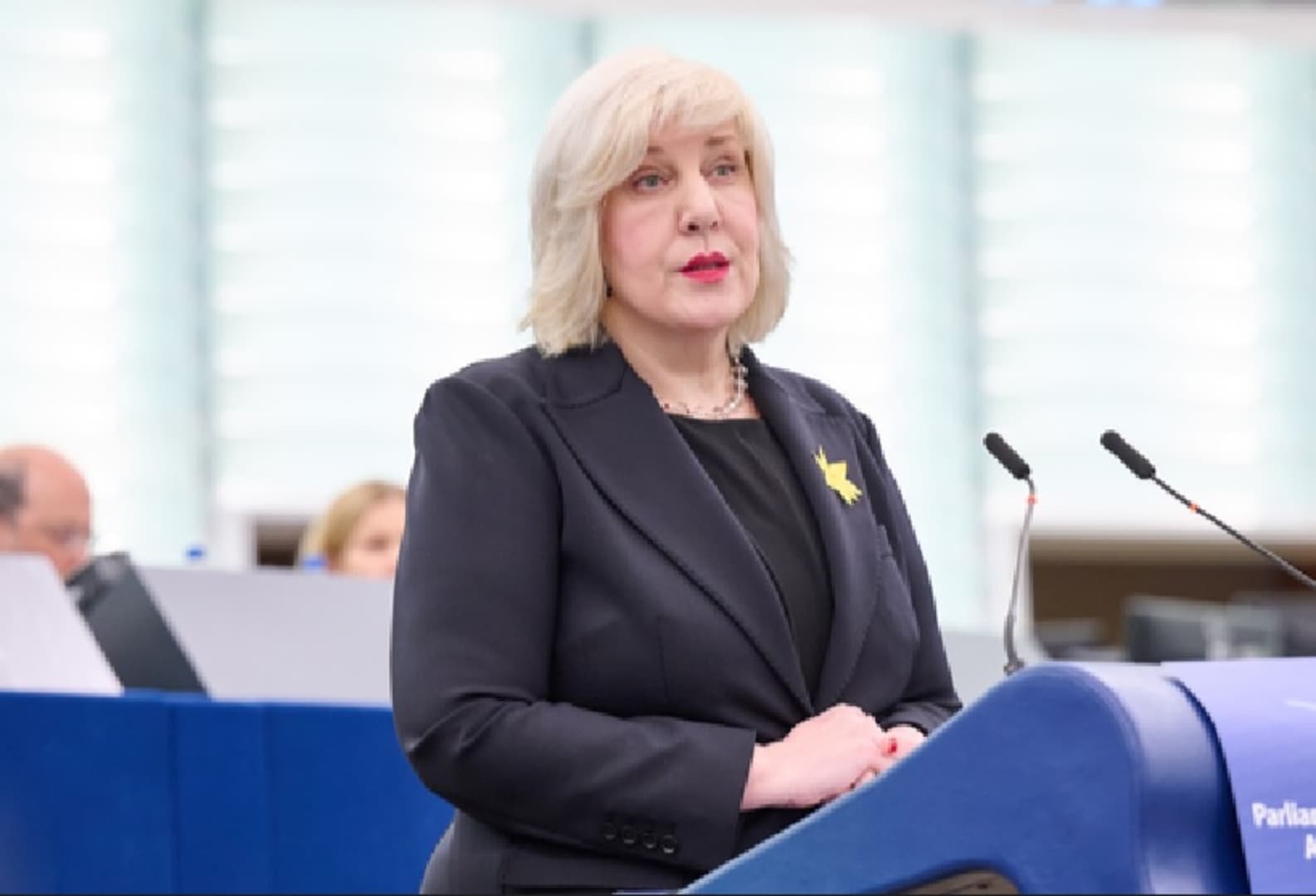 Mijatović: Society must understand that journalists should not be attacked - slika 1