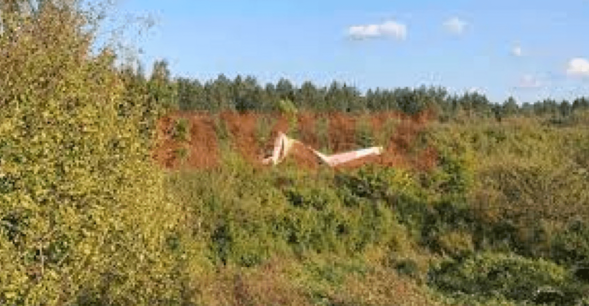 Pala letjelica kod Bihaća: Poginuo pilot - slika 1