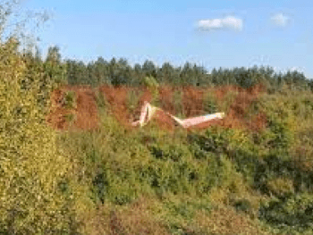 Pala letjelica kod Bihaća: Poginuo pilot