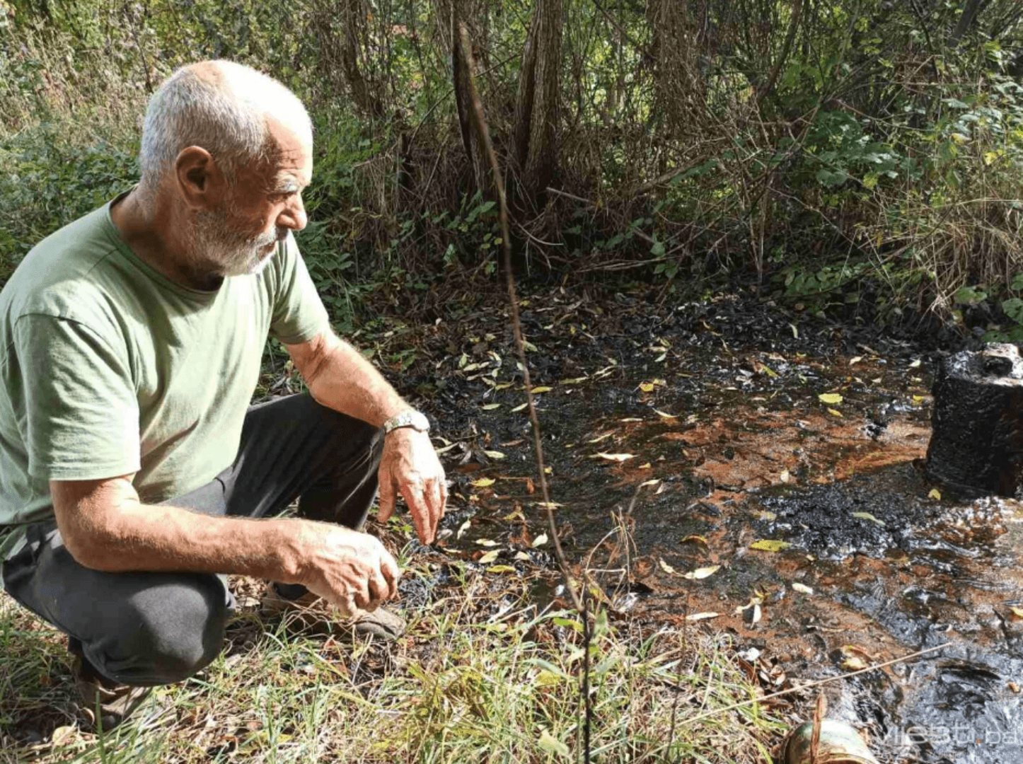 Hajrudin Bilalić: Čovjek sa dva izvora nafte - slika 1