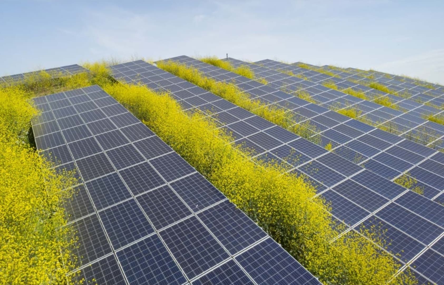 U BiH tokom prošle godine instalirala 107 MW solarne energije  - slika 1