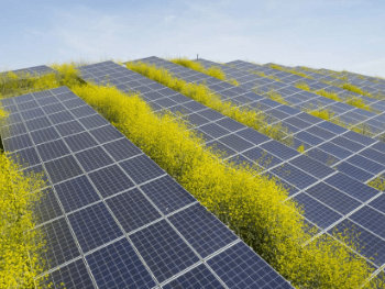 U BiH tokom prošle godine instalirala 107 MW solarne energije 