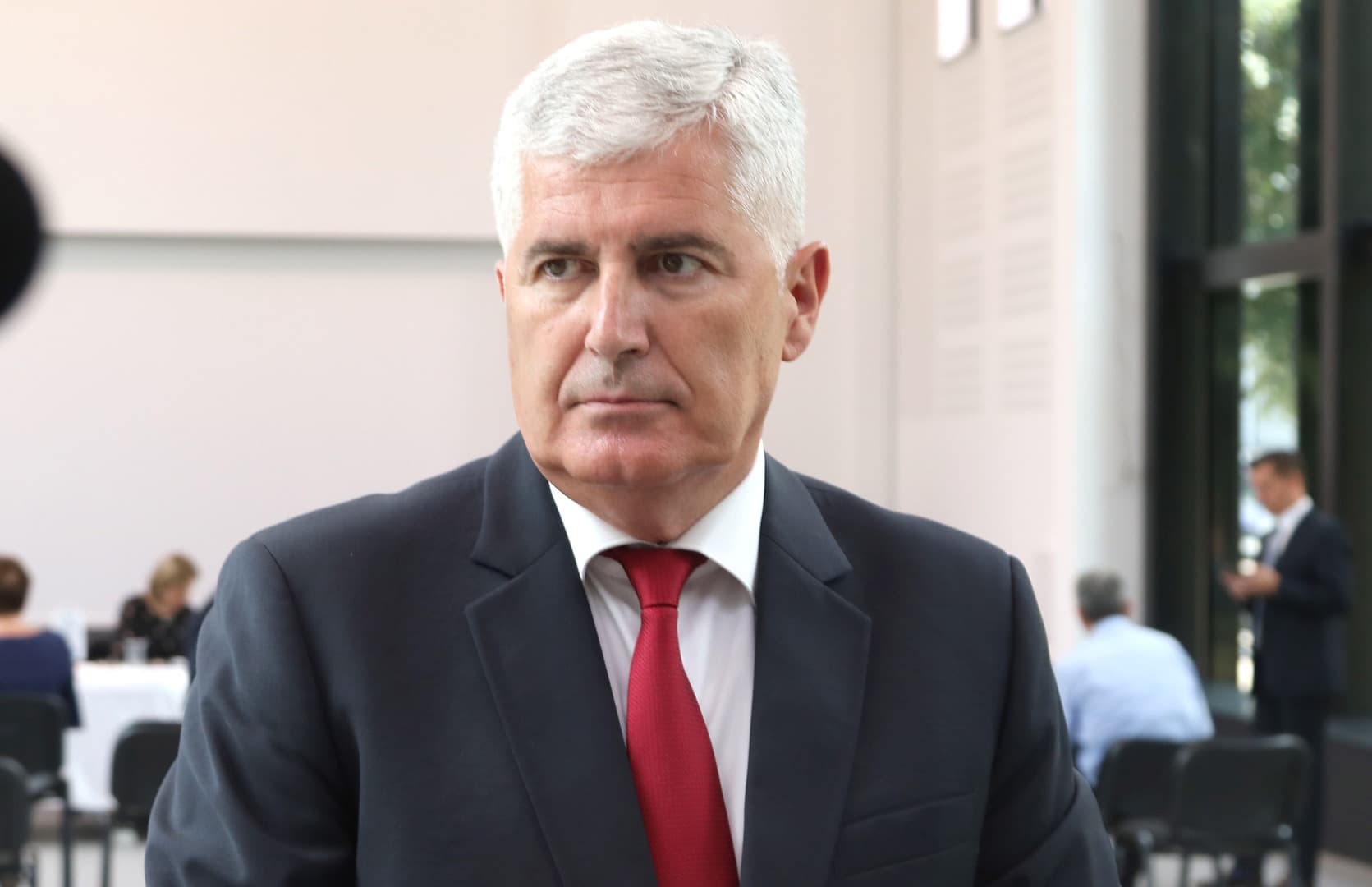 "Ubiti ne pomilovati" Dragana Čovića - slika 1