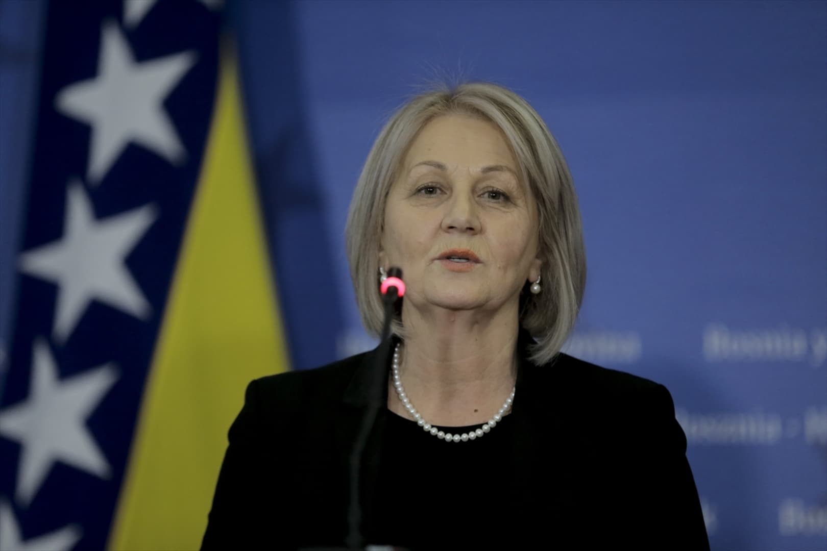 Podla podvala Borjane Krišto - slika 1