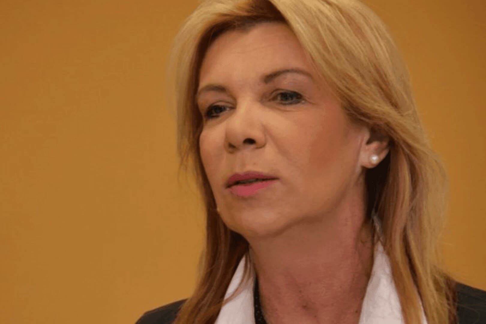 Slučaj "Memić": Dalida Burzić sutra se vraća na posao u Sud BiH - slika 1