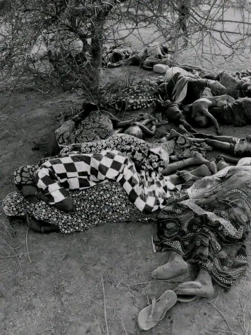 Najmanje 151 osoba poginula u poplavama u sjevernom dijelu Nigerije - slika 1