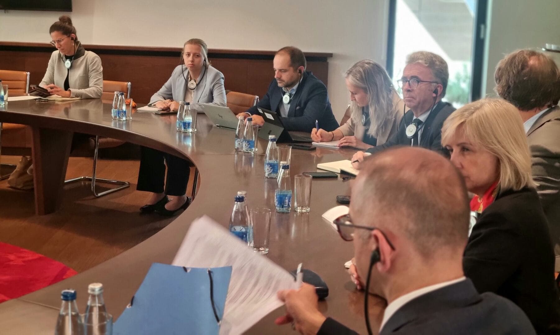 Izetbegović razgovarao sa delegacijom Evropskog parlamenta o evropskom putu BiH - slika 8