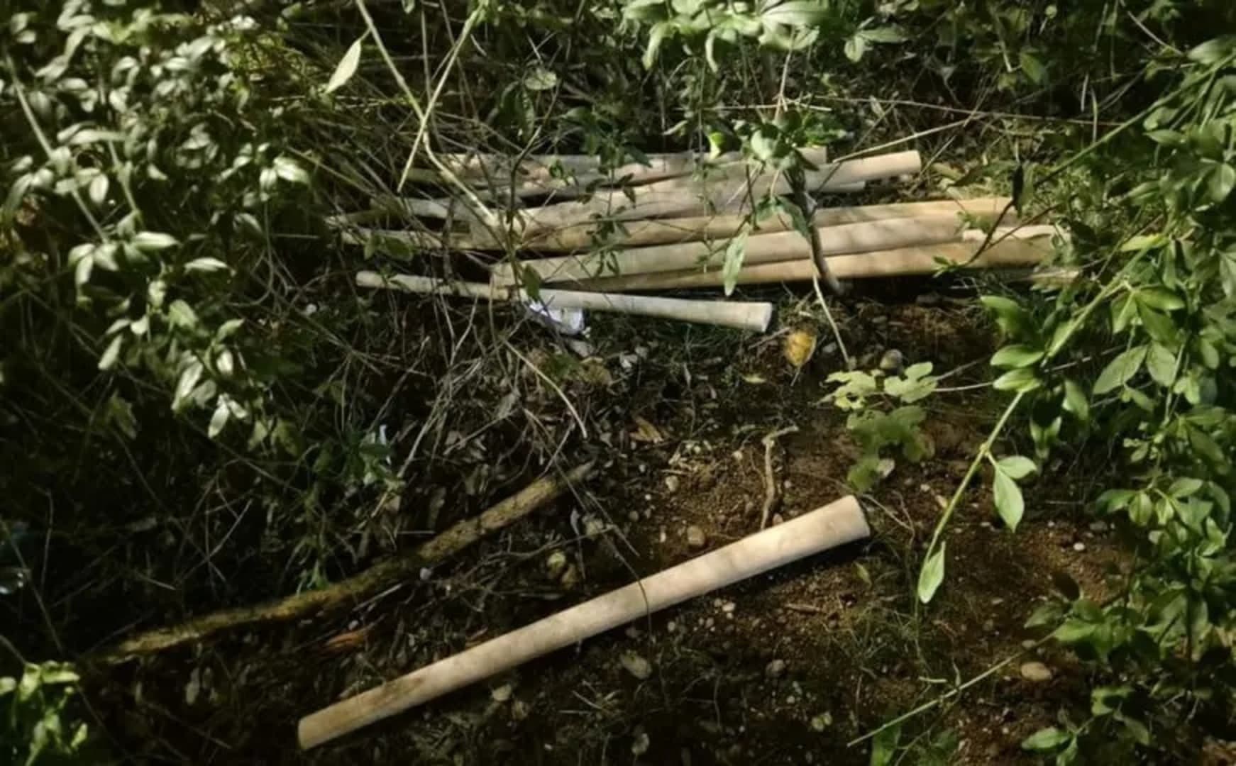 Crna Gora i Turska: Kako je jedan incident razbuktao plamen mržnje prema cijelom narodu - slika 1