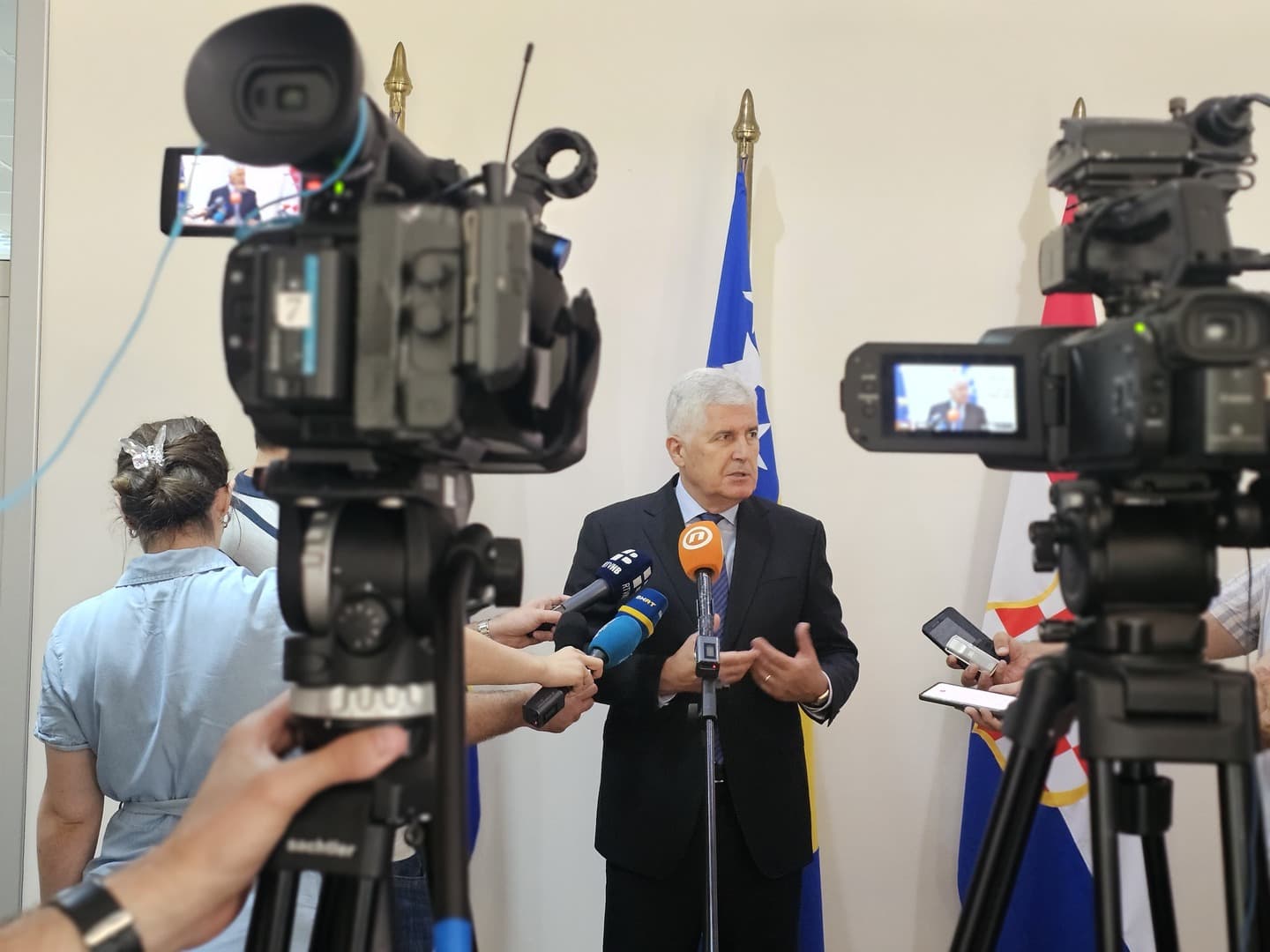 Šta će Čoviću entitet kad ima pašaluk! - slika 1