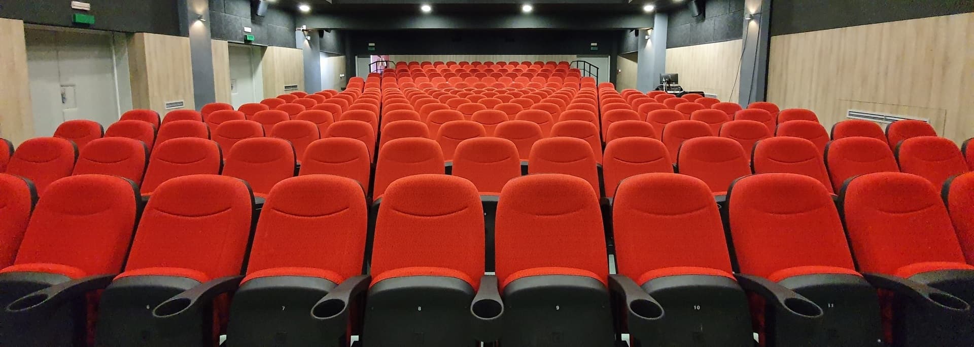 Kultura na ulici: Šta je nama Naša stranka dala - slika 1