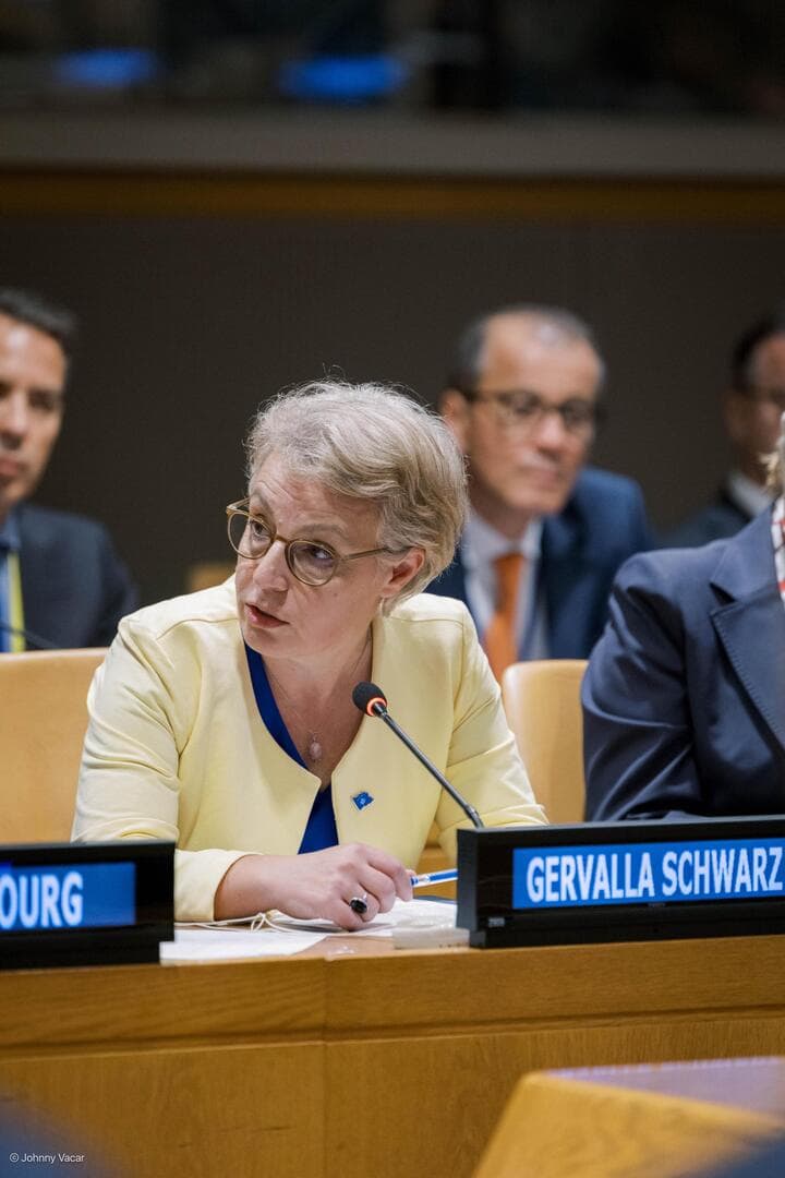 Gërvalla-Schwarz:„Ne bi bio prvi put da Srbija zapali Evropu“ - slika 1