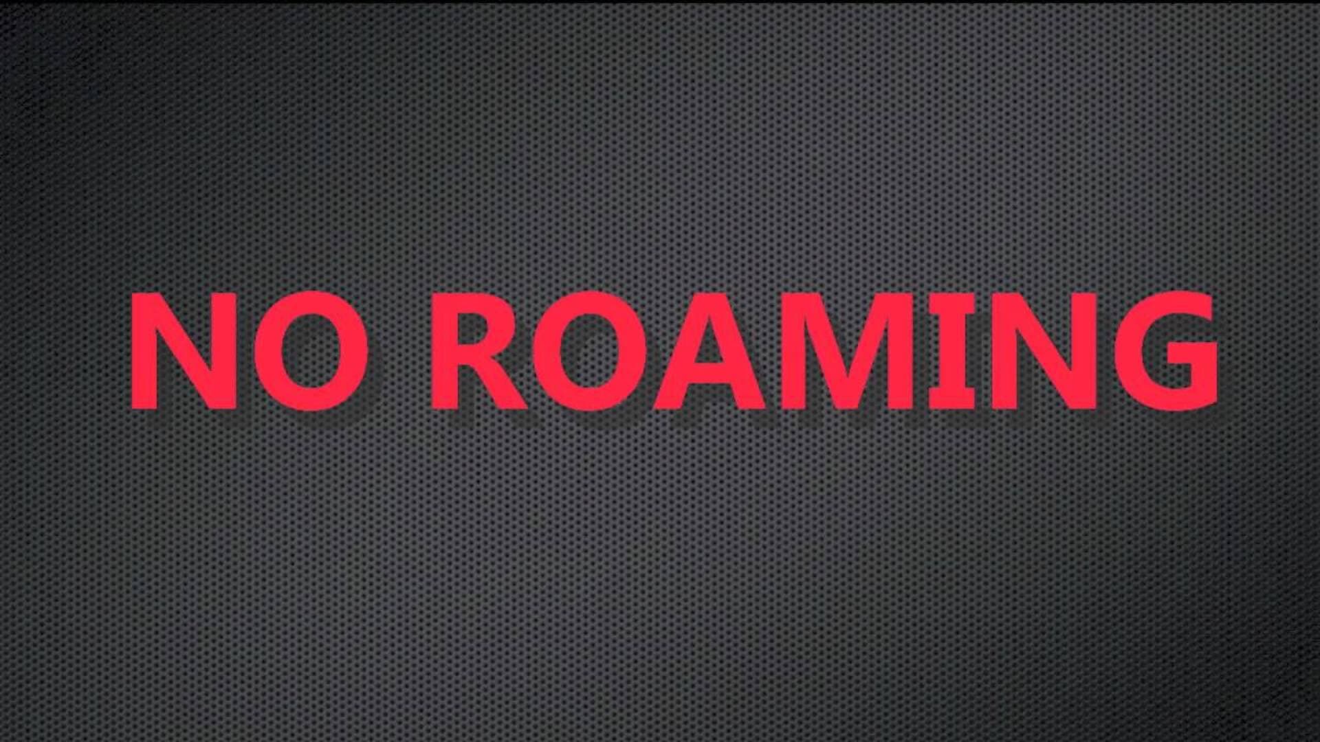 Nakon odluke Brisela: Ne nadajte se ukidanju rominga BiH sa EU! - slika 1