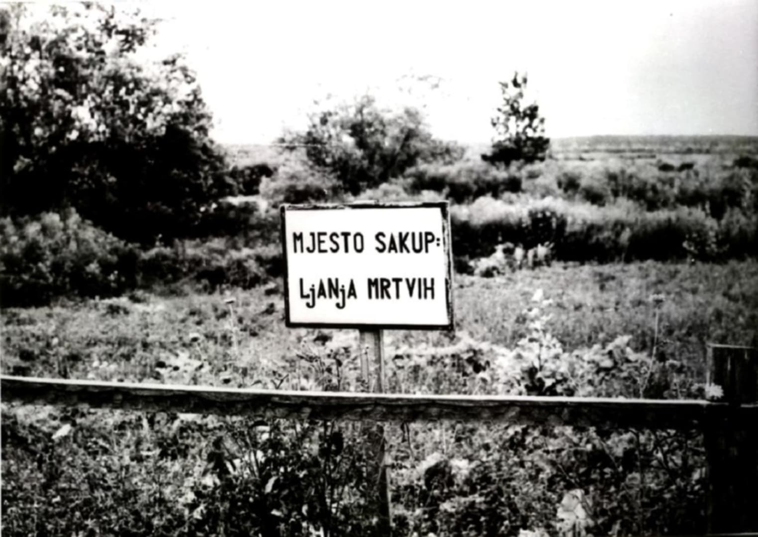 U Jasenovcu je ubijen i veliki broj bošnjačkih prvaka - slika 1