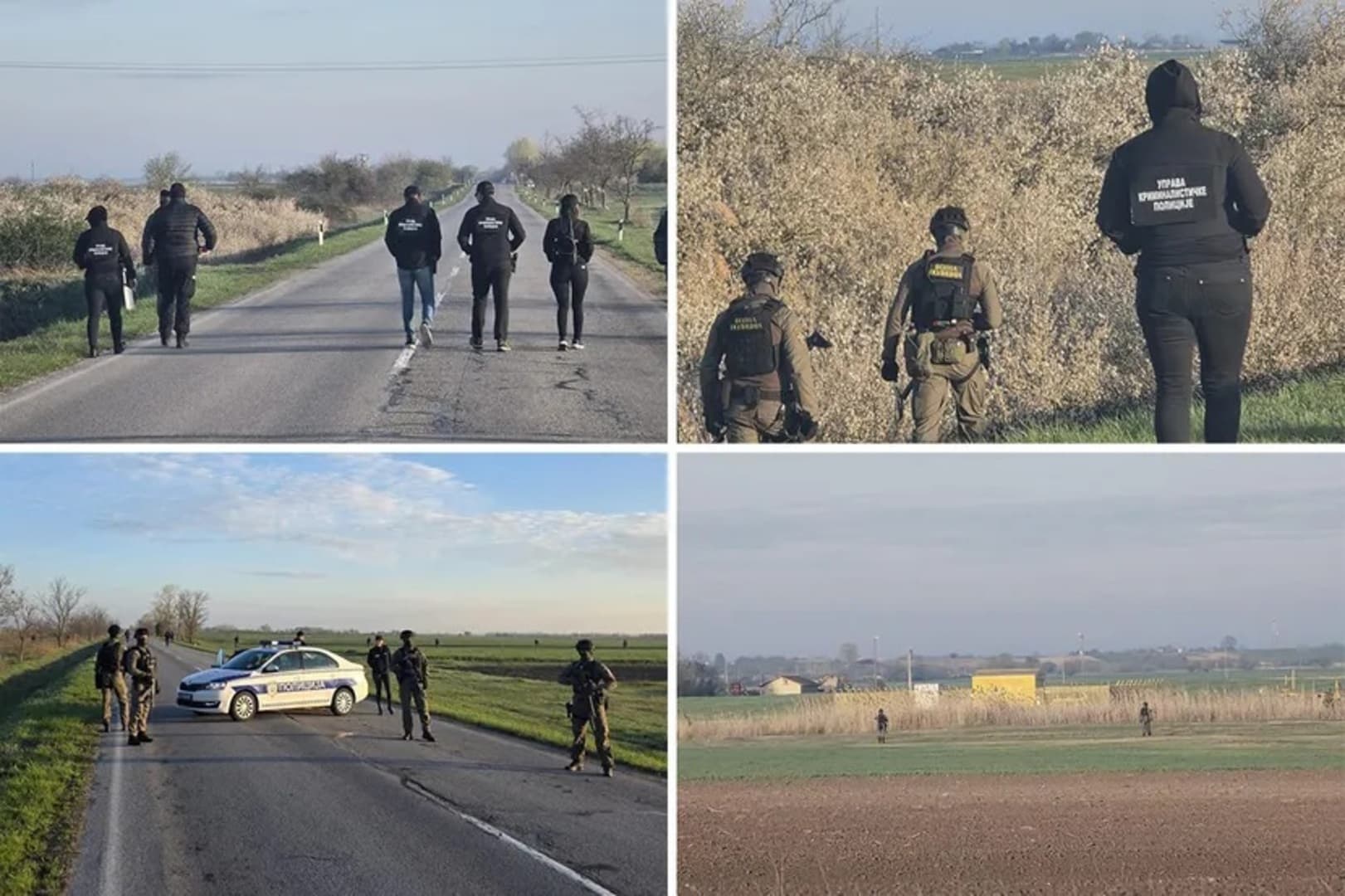 Obistinuju se upozorenja opozicije Mađarske. Vučić i Orban "u igri" - slika 1