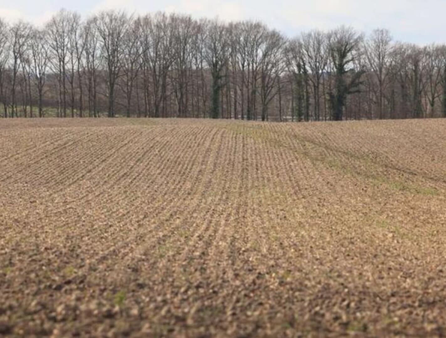 Ministarstvo privrede KS objavilo javni poziv za uređenje poljoprivrednog zemljišta - slika 1