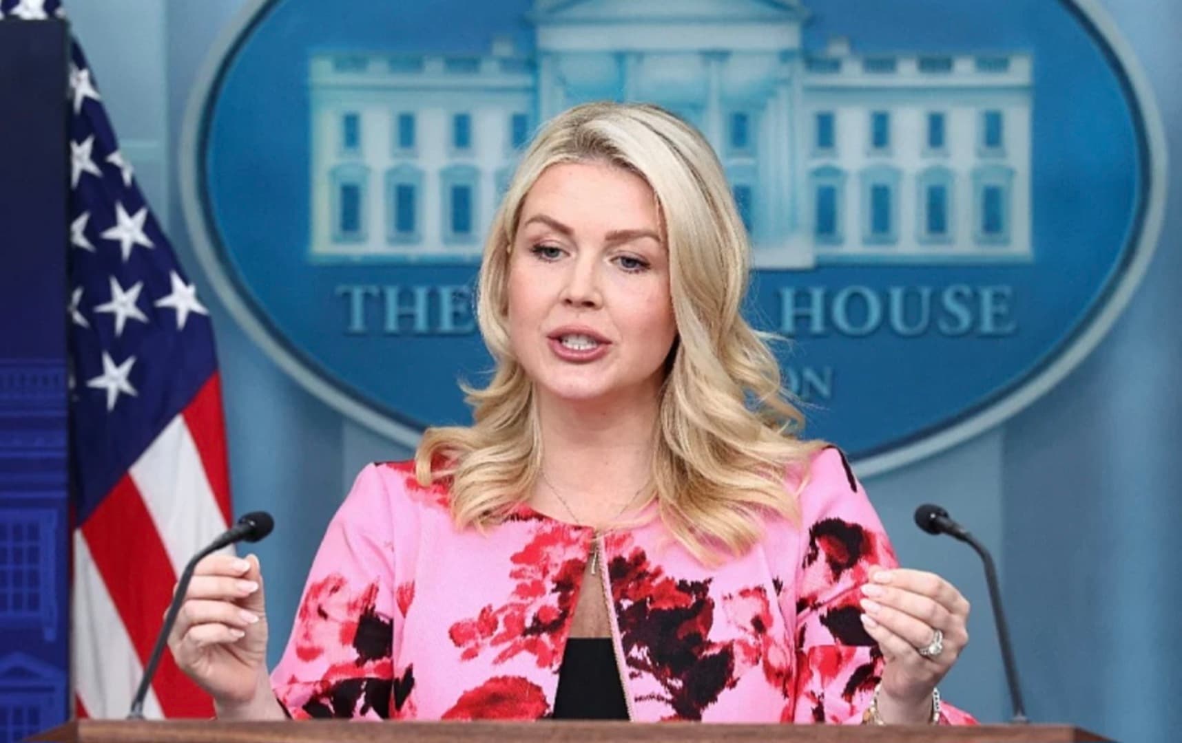 "Svi vojni ciljevi su ispunjeni i prije roka" - slika 1