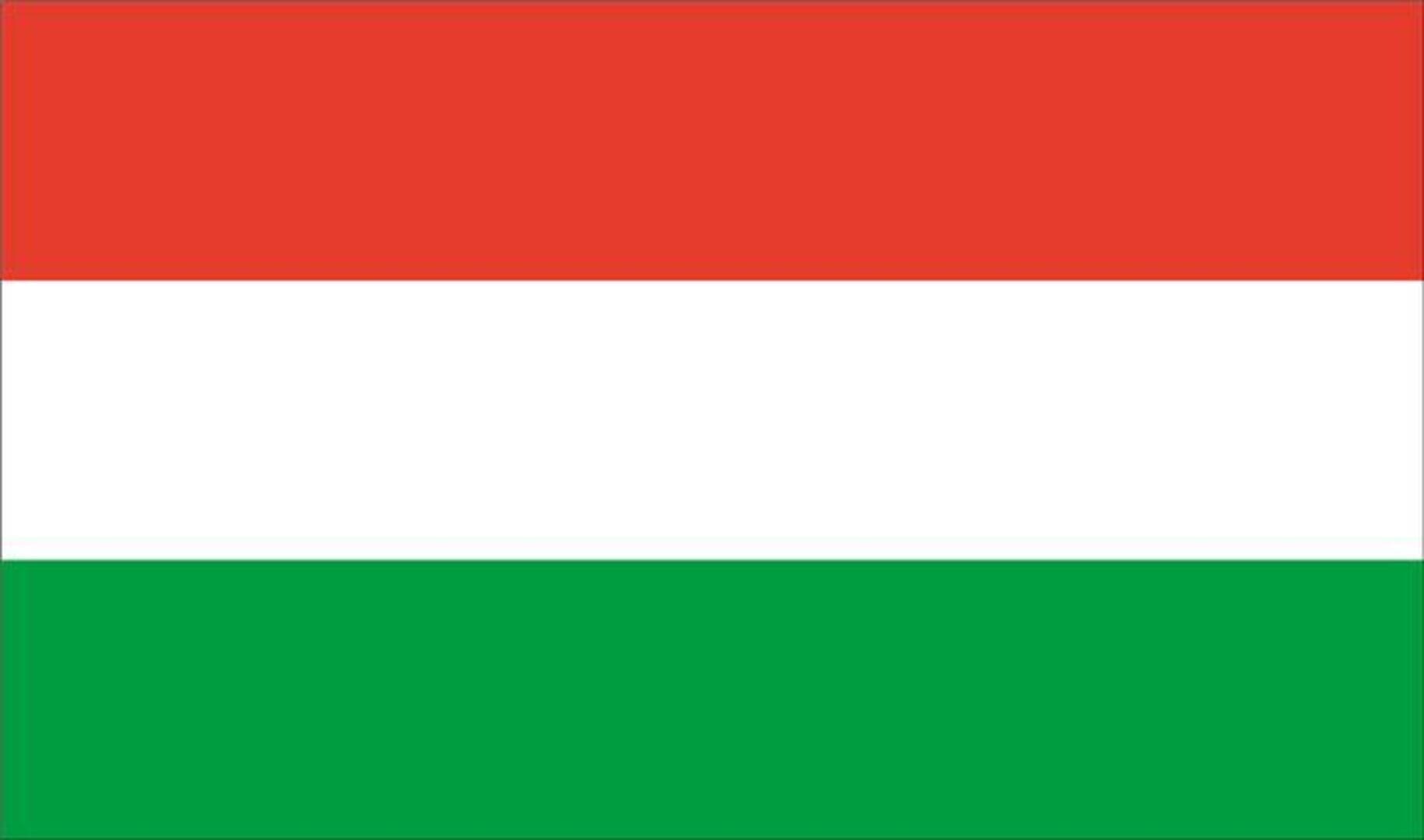 Dan D za Mađarsku - slika 1