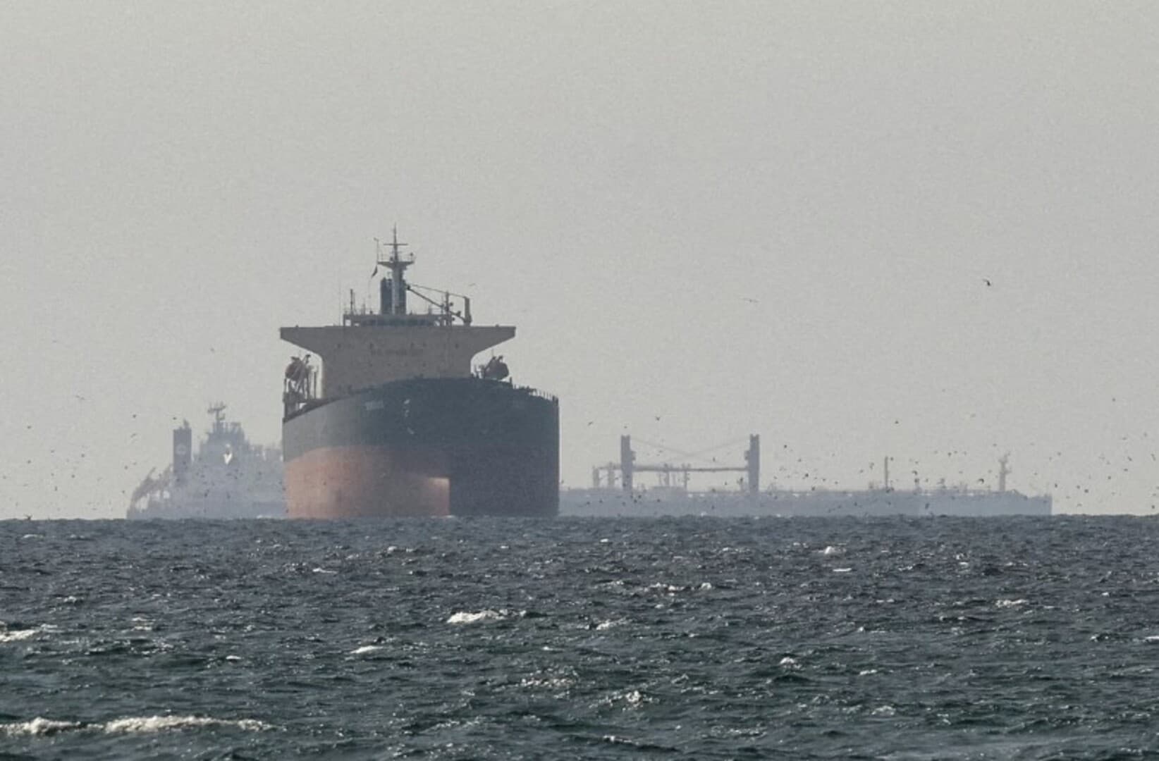 Kriza u Hormuzu mogla bi izazvati globalnu poljoprivrednu katastrofu - slika 1