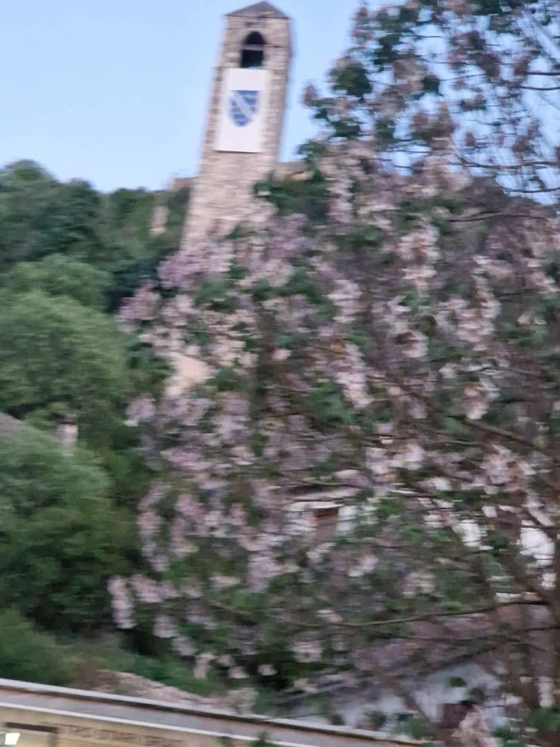 Uzbuna zbog zastave: Grad Čapljina osudio postavljenje... - slika 1